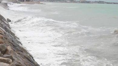 بارش باران و مواج شدن خلیج فارس تا 9 بهمن در استان بوشهر / اخبار بوشهر - اخبار استانها