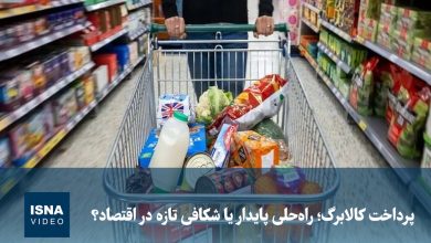 سودآوری طرح اصلاح یارانهها برای اکثریت جامعه / یارانه , کالابرق الکترونیکی , اقتصاد , دولت , رفاه اجتماعی