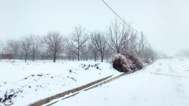 سمنان یخبندان میشود / اخبار سمنان - اخبار استانها