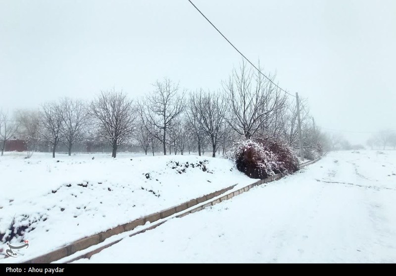سمنان یخبندان میشود / اخبار سمنان - اخبار استانها