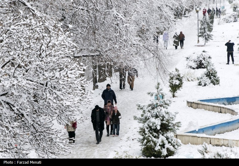 بارش برف در 24 نقطه کهگیلویه و بویراحمد/ شبلیز رکورددار شد / اخبار کهگیلویه و بویراحمد - اخبار استانها
