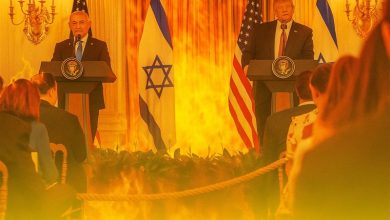 یادداشت| گرگ در لباس گوسفند؛ روایت یک فریب سیاسی / اخبار البرز - اخبار استانها