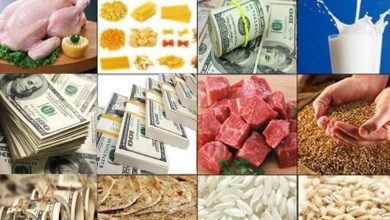 آزادسازی اقتصاد با حذف ارز ترجیحی / اخبار فارس - اخبار استانها