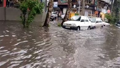 هواشناسی کهگیلویه و بویراحمد هشدار نارنجی صادر کرد / اخبار کهگیلویه و بویراحمد - اخبار استانها