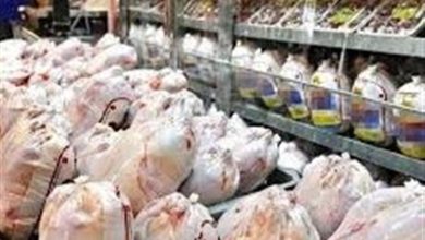 روزانه 60 تن گوشت مرغ برای خراسان شمالی تامین میشود / اخبار خراسان شمالی - اخبار استانها
