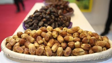 ذخیرهسازی 250 تن خرما و میوه ماه رمضان و شب عید در هرمزگان / اخبار هرمزگان - اخبار استانها