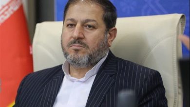 44 لیدر اصلی اغتشاشات ایلام دستگیر شدند / اخبار ایلام - اخبار استانها