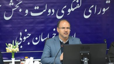 پیگیری ایجاد زنجیره ارزش و شهرک تخصصی زرشک در خراسان جنوبی / اخبار خراسان جنوبی - اخبار استانها