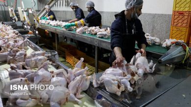 حذف ناگهانی ارز ترجیحی درمان یا شوک ناگهانی به تولید؟! / , , , ,