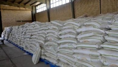 تخصیص 13 هزار تن نهاده دامی به دامداران میامی / اخبار سمنان - اخبار استانها