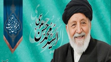 بزرگداشت آیتالله علوی سبزواری در قم برگزار شد / اخبار قم - اخبار استانها