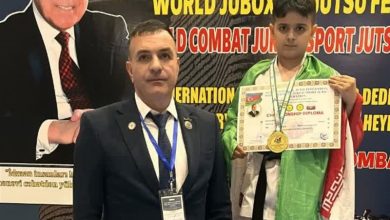 شروین کریمی نوجوان ورامینی طلای مسابقات بینالمللی کاتا را کسب کرد / اخبار استان تهران - اخبار استانها