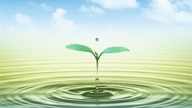 تمرکززدایی در مدیریت آب؛ راهکار کاهش وزن دولت در سیاستگذاری / اخبار سمنان - اخبار استانها