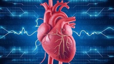 عوامل خطر بیماریهای عروقی را بشناسیم / اخبار فارس - اخبار استانها