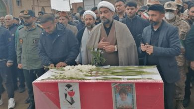 بهار نیشابور در زمستان پرپر شد / اخبار خراسان رضوی - اخبار استانها