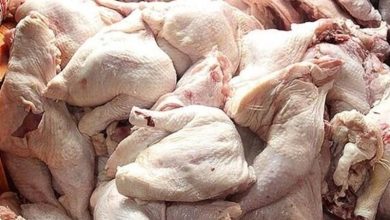 عرضه مرغ در استان سمنان با نرخ مصوب 187500 تومان / اخبار سمنان - اخبار استانها