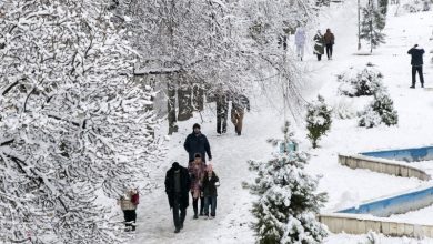 بارش گسترده برف در خراسان جنوبی؛ تردد در همه محورهای استان برقرار است / اخبار خراسان جنوبی - اخبار استانها