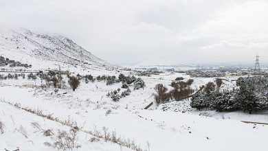شهرداریهای کردستان در آستانه موج بارشی؛ آمادگی هشدار یا اقدام؟ / اخبار کردستان - اخبار استانها