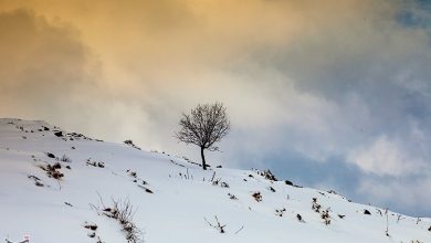 آخر هفته سمنان 'برفی و بارانی' خواهد بود / اخبار سمنان - اخبار استانها