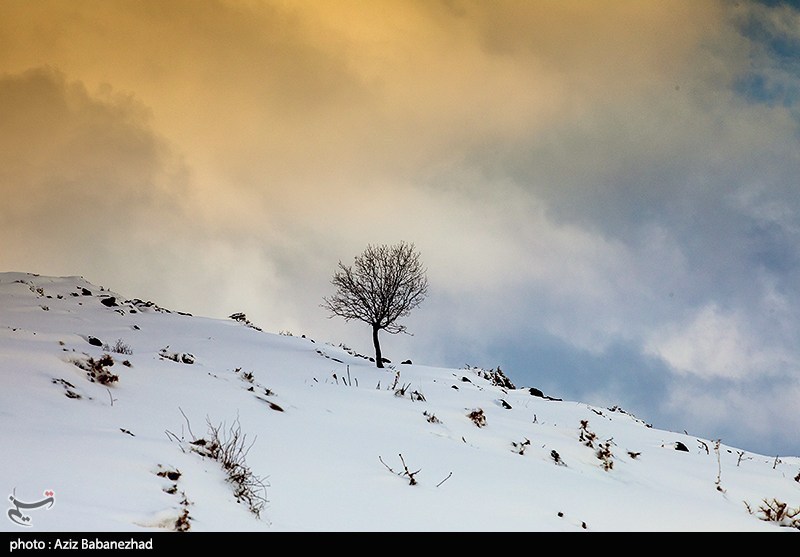 آخر هفته سمنان 'برفی و بارانی' خواهد بود / اخبار سمنان - اخبار استانها