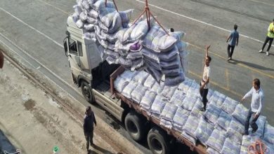 جابهجایی بیش از 8 میلیون و 299 هزار تن کالا در بوشهر / اخبار بوشهر - اخبار استانها