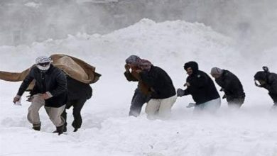 هشدار بهداشتی درباره افزایش خطر سرمازدگی در روزهای سرد سال / اخبار خراسان شمالی - اخبار استانها