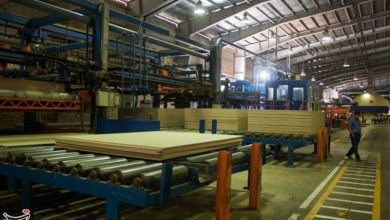 سرمایهگذاری 29 میلیون یورویی در صنعت گلستان / اخبار گلستان - اخبار استانها