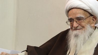 آیتالله صافی گلپایگانیی مرجعی بصیر در صیانت از دین و وحدت امت بود / اخبار قم - اخبار استانها