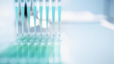 توسعه پیل سوختی زیستی یکبارمصرف برای کیتهای تشخیص پزشکی / پیل سوختی , کیت تشخیص پزشکی , انرژی تجدیدپذیر , فناوری زیستی , دانشگاه تهران