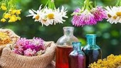 ظرفیت بالای تفرش در تولید گیاهان دارویی / اخبار مرکزی - اخبار استانها