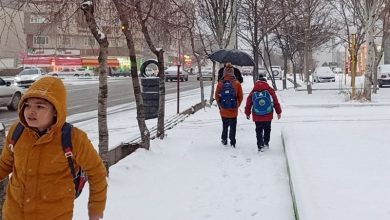 مدارس کرمانشاه غیرحضوری شد/ تاخیر 2 ساعته ادارات در 11 شهرستان / اخبار کرمانشاه - اخبار استانها