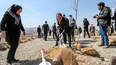 درختکاری در 25 هزار هکتار از اراضی کهگیلویه و بویراحمد / اخبار کهگیلویه و بویراحمد - اخبار استانها