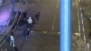 بحران نوجوانان، بحران هویت و رویاست نه امنیت / اخبار قزوین - اخبار استانها