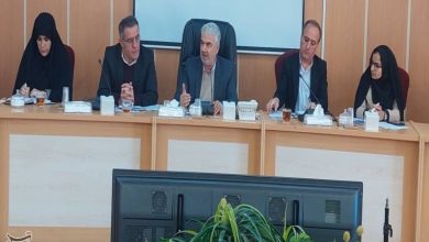 کاهش 5 درصدی جمعیت کودکان کار در کهگیلویه و بویراحمد / اخبار کهگیلویه و بویراحمد - اخبار استانها