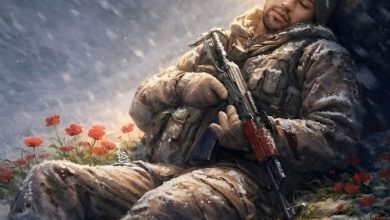 روایتی از مظلومیت مرزبانان کردستان در سرمای طاقتفرسا / اخبار کردستان - اخبار استانها