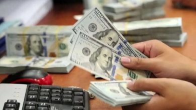 نوسان قیمت خودرو متاثر از سیاست گذشته و چند نرخی ارز بود / , , , ,