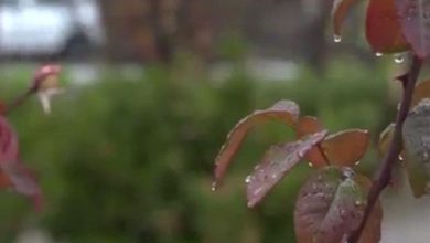 بارشهای امیدآفرین در آذربایجانشرقی؛ جهش 137 درصدی / اخبار آذربایجان شرقی - اخبار استانها