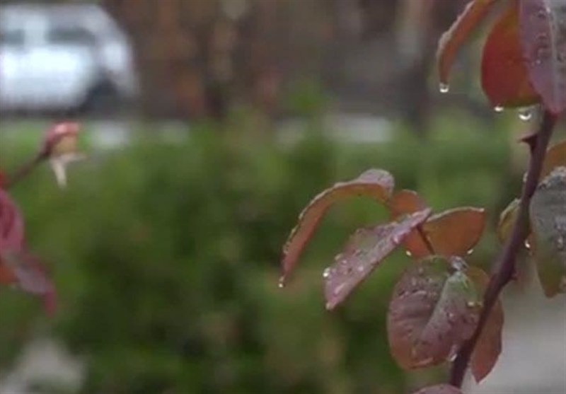 بارشهای امیدآفرین در آذربایجانشرقی؛ جهش 137 درصدی / اخبار آذربایجان شرقی - اخبار استانها