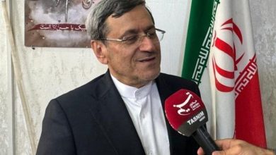 قشقاوی: به همسایگان درباره حمایت از تروریستها هشدار دادهایم / اخبار استان تهران - اخبار استانها