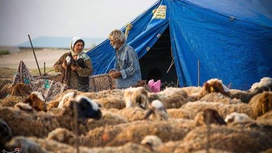 افتتاح 6 پروژه عمرانی عشایر لرستان با اعتبار 320 میلیارد / اخبار لرستان - اخبار استانها