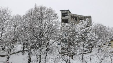 صدور هشدار نارنجی در شمال؛ محورهای کوهستانی مسدود شد / اخبار مازندران - اخبار استانها