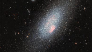 تلسکوپ هابل تصویر خیرهکنندهای از کهکشان کوتوله در دباکبر ثبت کرد / تلسکوپ هابل , کهکشان کوتوله , ستارگان ولف-رایه , دباکبر , اخترفیزیک