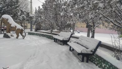 زنجان زیر چتر سنگین برف+تصویر / اخبار زنجان - اخبار استانها