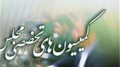 بررسی تحولات اخیر با حضور وزیر اطلاعات در کمیسیون امنیت ملی / اخبار سیاسی روز , اخبار مجلس