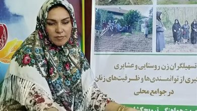 سهم 19 درصدی کشاورزی در اقتصاد گیلان / اخبار گیلان - اخبار استانها