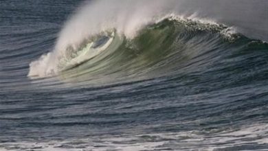 ممنوعیت تردد دریایی در کیش برای سهشنبه هفتم بهمن / اخبار جزایر خلیج فارس - اخبار استانها