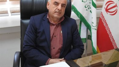 توزیع بیش از 4800 تن کود شیمیایی میان کشاورزان البرزی / اخبار البرز - اخبار استانها