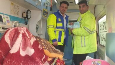 تولد نوزاد عجول در هوای برفی میانه / اخبار آذربایجان شرقی - اخبار استانها