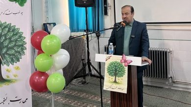 هیچ جایگزینی برای نقش معلم در مدارس نداریم / اخبار یزد - اخبار استانها