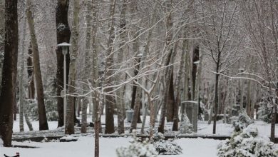 برف و باران اصفهان را فرا میگیرد / اخبار اصفهان - اخبار استانها